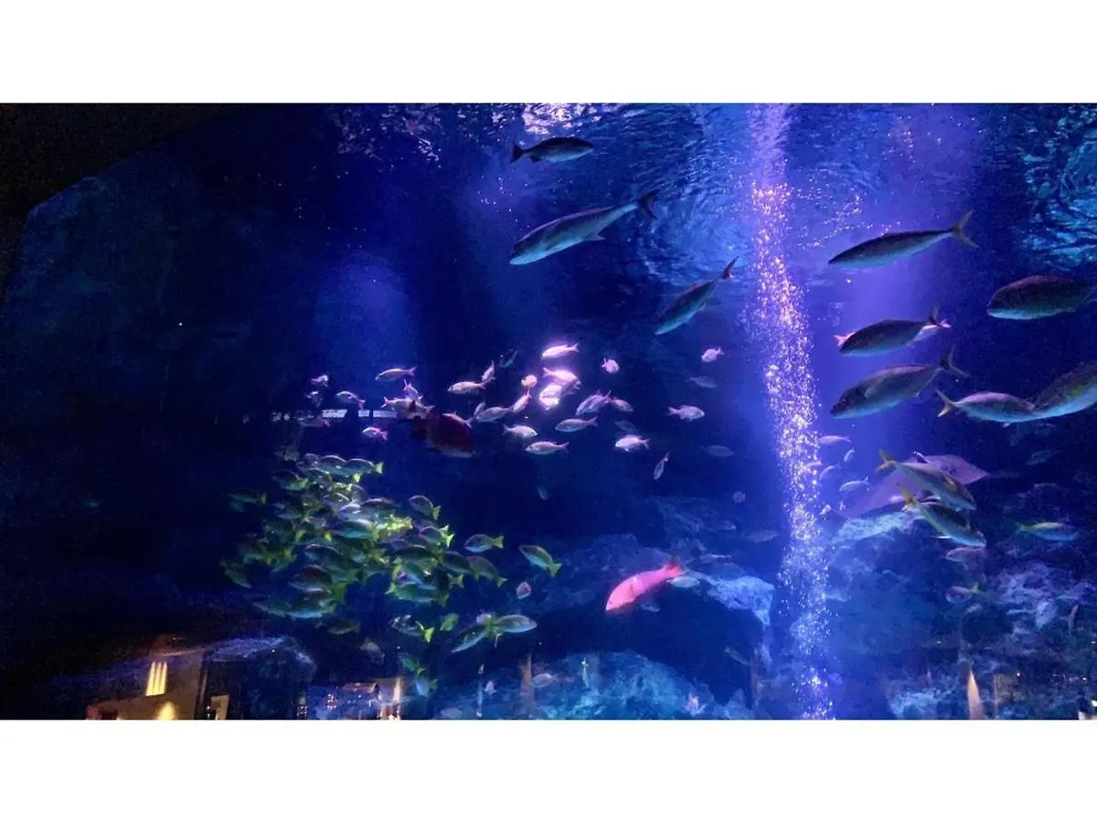 Kiko House - Vacation Stay 42470V Tokyo Japan